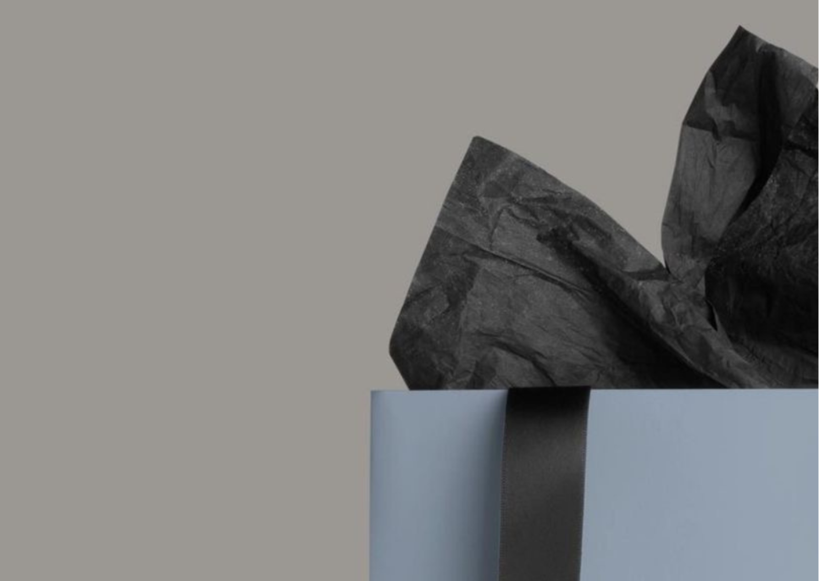 PLAUKŲ PRO - Su meile, Jūsų plaukams! banner